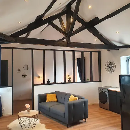 Apartment Le Loft De Blossac Poitiers
